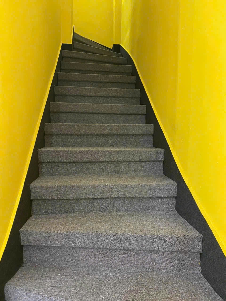 Lắp Đặt Sàn Gỗ, Nhựa Cho Căn Hộ, Biệt Thự