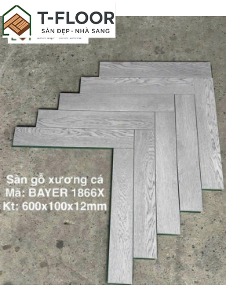 Bayer Xương Cá - Mã 1866X