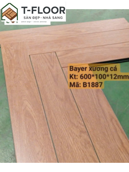 Bayer Xương Cá - Mã B1887